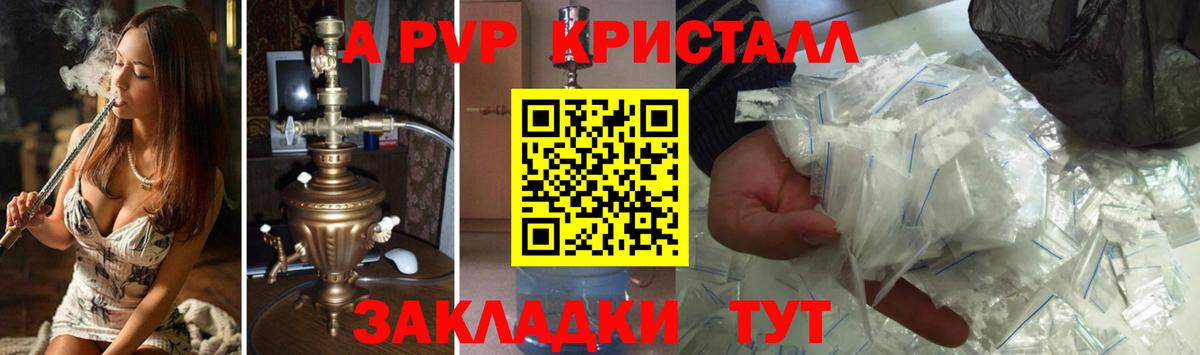 Alfa_PVP СК КРИС Мурманск