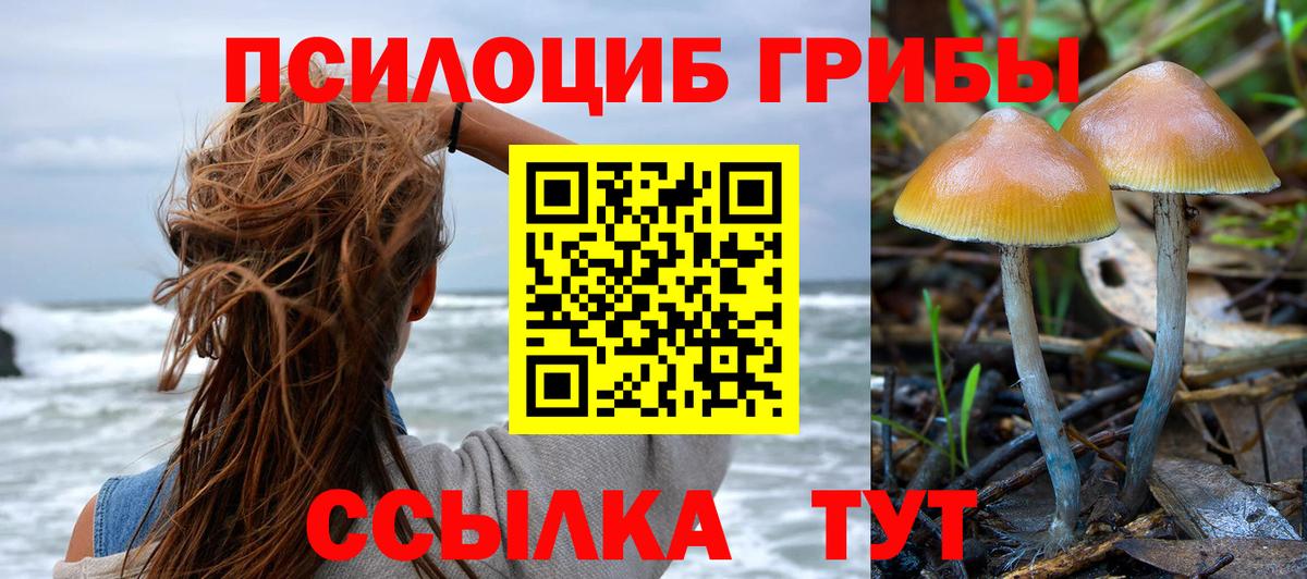 ТГК Мурманск