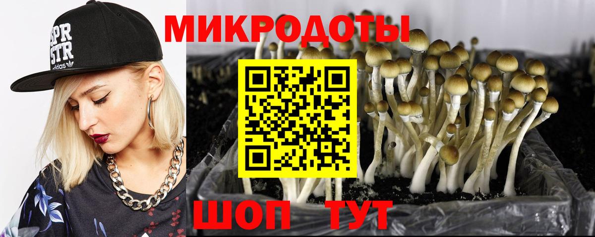 Псилоцибиновые грибы Cubensis  купить наркотики сайты  Вход с VPN  Мурманск  Псилоцибиновые грибы MAGIC MUSHROOMS 