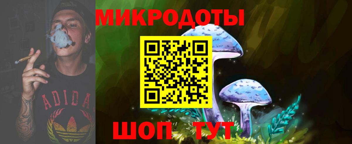Псилоцибиновые грибы Psilocybe Мурманск